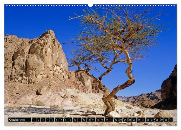 Produktbild: Sinai - Landschaft aus Fels und Sand (hochwertiger Premium Wandkalender 2026 DIN A2 quer), Kunstdruck in Hochglanz