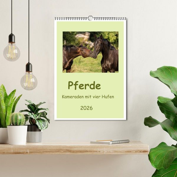 Produktbild: Pferde - Kameraden mit vier Hufen (Wandkalender 2026 DIN A3 hoch), CALVENDO Monatskalender