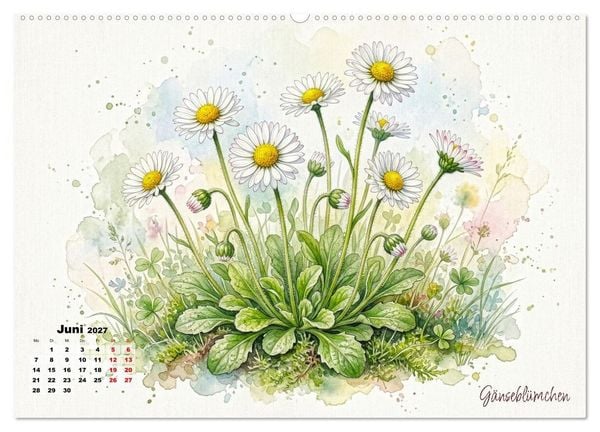 Produktbild: Wilde Kostbarkeiten &ndash; Essbar, gesund & wundersch&ouml;n (Wandkalender 2027 DIN A2 quer), CALVENDO Monatskalender