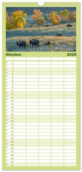 Produktbild: Familienplaner 2026 - Sioux Im Lande von Sitting Bull mit 5 Spalten (Wandkalender, 21 x 45 cm) CALVENDO