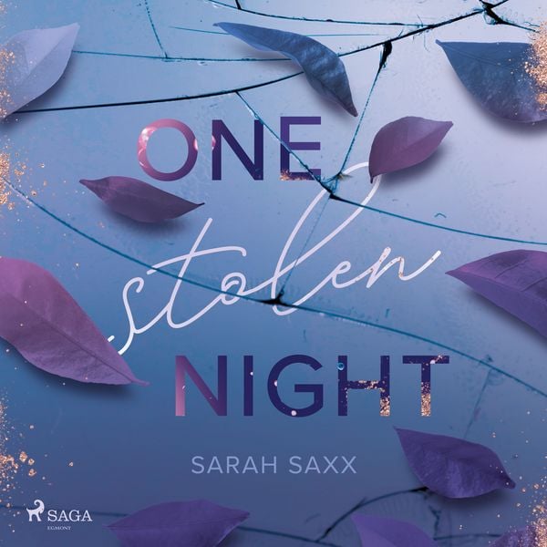 Produktbild: One Stolen Night
