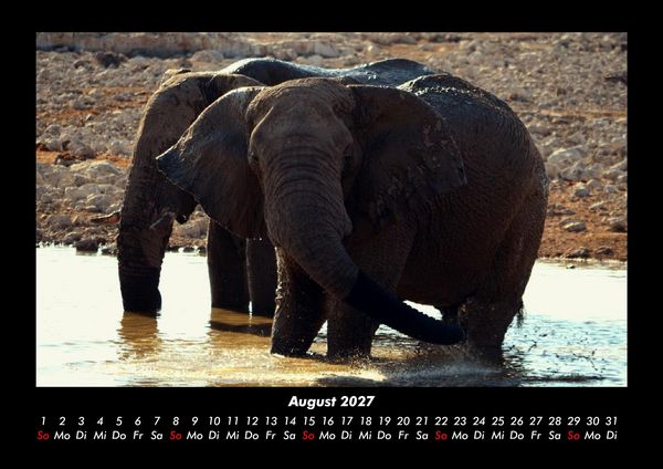 Produktbild: Der Elefantenkalender 2027 Fotokalender DIN A3
