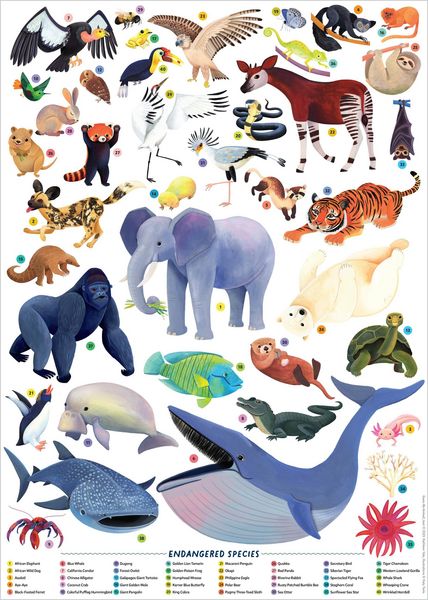 Produktbild: Guess My Animal!