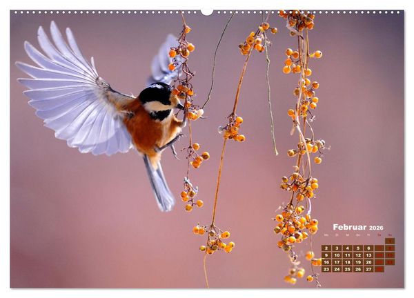 Produktbild: Tiere in freier Wildbahn by VogtArt (hochwertiger Premium Wandkalender 2026 DIN A2 quer), Kunstdruck in Hochglanz