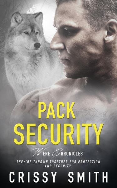 Produktbild: Pack Security