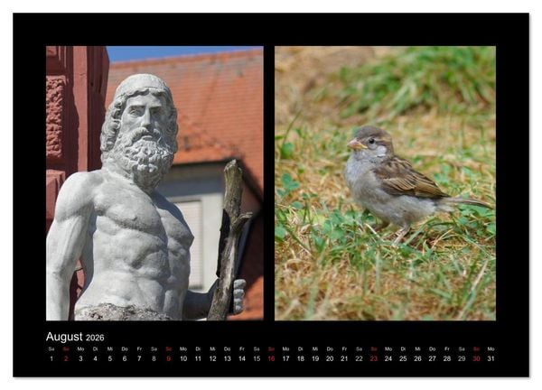 Produktbild: Ulmer Spatzen (Wandkalender 2026 DIN A2 quer), CALVENDO Monatskalender