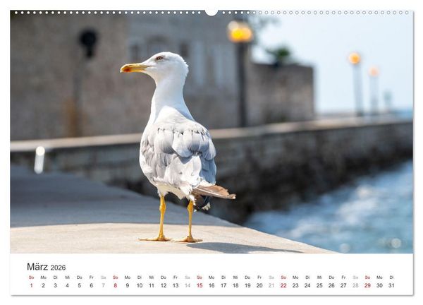 Produktbild: Porec Kalender - Die kroatische Stadt an der Adria (hochwertiger Premium Wandkalender 2026 DIN A2 quer), Kunstdruck in Hochglanz