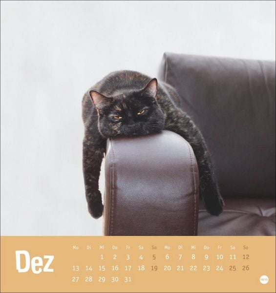 Produktbild: Tierisch entspannte Katzen Postkartenkalender 2027