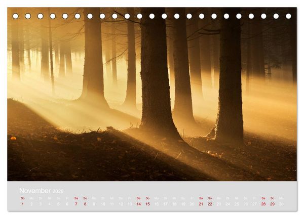 Produktbild: Im Lichtglanz der Jahreszeiten (Tischkalender 2026 DIN A5 quer), CALVENDO Monatskalender