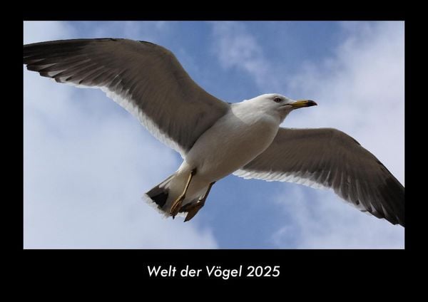 Produktbild: Welt der V&ouml;gel 2025 Fotokalender DIN A3