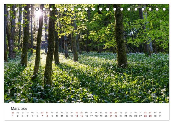 Produktbild: Sauerland - hier muss man mal gewesen sein (Tischkalender 2026 DIN A5 quer), CALVENDO Monatskalender