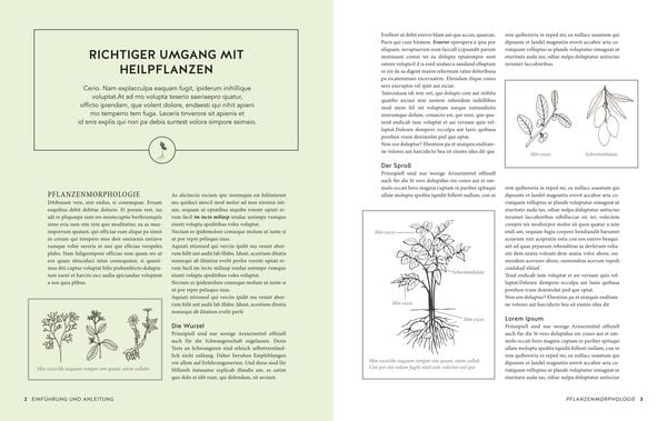 Produktbild: Das gro&szlig;e Buch der Heilpflanzen