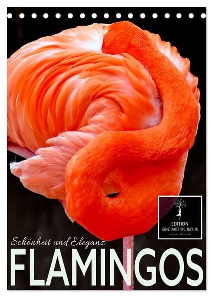 Produktbild: Flamingos - Eleganz und Sch&ouml;nheit (Tischkalender 2026 DIN A5 hoch), CALVENDO Monatskalender