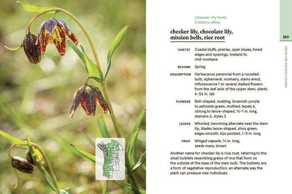 Produktbild: Western Washington and Oregon in Bloom