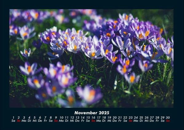 Produktbild: Blumenkalender 2025 Fotokalender DIN A4