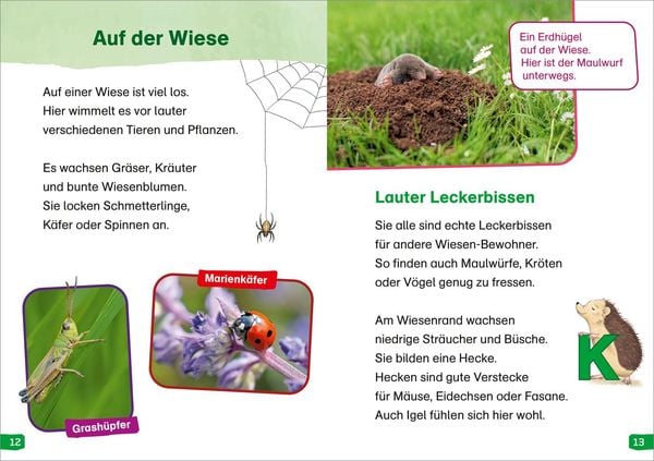 Produktbild: WAS IST WAS Erstes Lesen easy! Band 11. Raus in die Natur