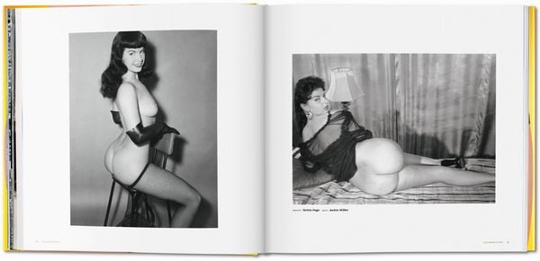 Produktbild: The Big Butt Book