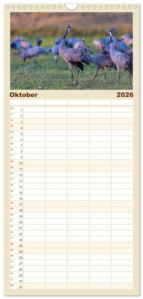 Produktbild: Familienplaner 2026 - Mit Kranichen durch das Jahr mit 5 Spalten (Wandkalender, 21 x 45 cm) CALVENDO