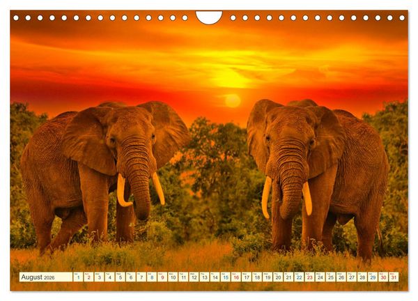 Produktbild: Fantastic Kenya (Wall Calendar 2026 DIN A4 landscape), CALVENDO 12 Month Wall Calendar