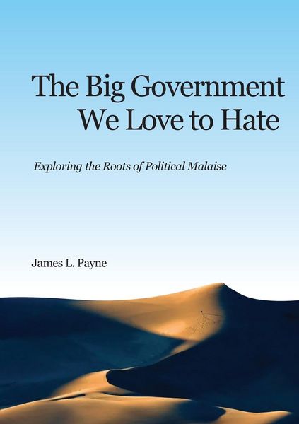 Produktbild: The Big Government We Love to Hate