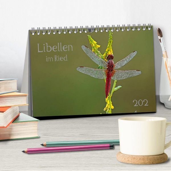 Produktbild: Libellen im Ried (Tischkalender 2026 DIN A5 quer), CALVENDO Monatskalender