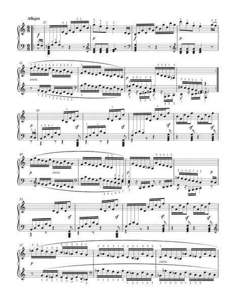 Produktbild: S&auml;mtliche Sonaten f&uuml;r Klavier, Band 2
