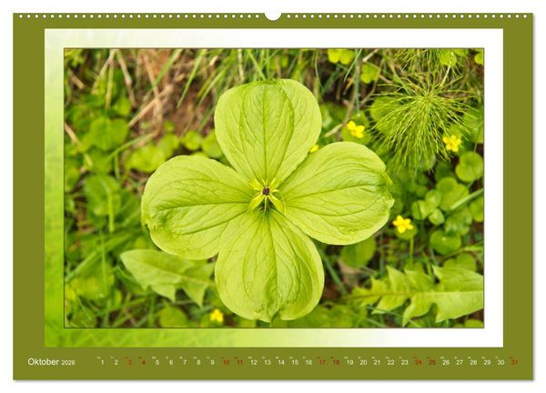 Produktbild: Das vergessene Tal. Schnalstal - Val Senales (Wandkalender 2026 DIN A2 quer), CALVENDO Monatskalender