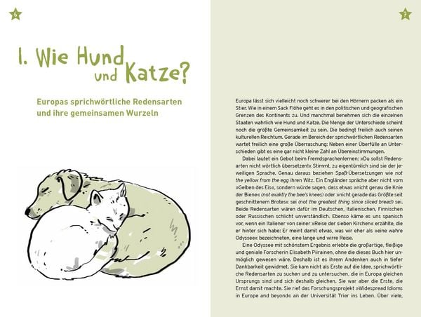 Produktbild: Ph&ouml;nix aus der Asche