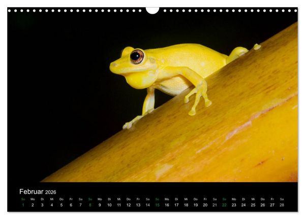 Produktbild: Costa Rica - Faszination Fr&ouml;sche (Wandkalender 2026 DIN A3 quer), CALVENDO Monatskalender