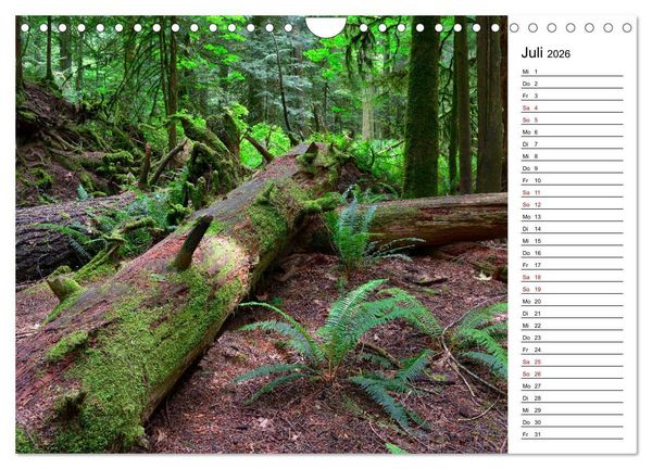 Produktbild: Vancouver Island - Perle im Kanadischen Westen (Wandkalender 2026 DIN A4 quer), CALVENDO Monatskalender