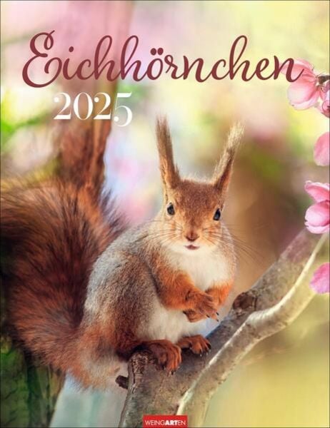 Eichhörnchen Kalender 2025