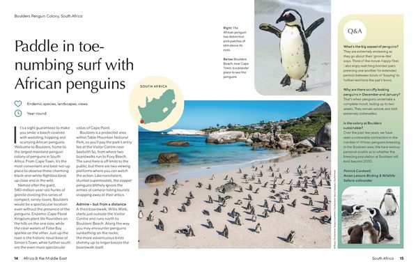 Produktbild: Lonely Planet The Joy of Birdwatching