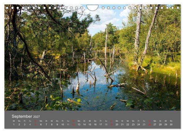 Produktbild: Moor- und Heidelandschaften Niedersachsen (Wandkalender 2027 DIN A4 quer), CALVENDO Monatskalender