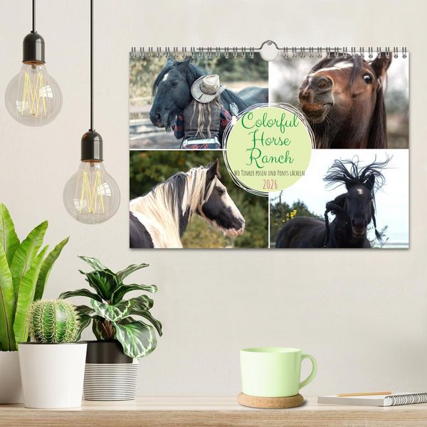 Produktbild: Colorful Horse Ranch &ndash; Wo Tinker posen und Ponys l&auml;cheln (Wandkalender 2026 DIN A4 quer), CALVENDO Monatskalender