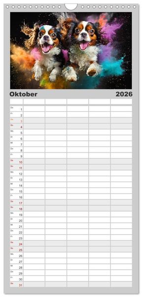 Produktbild: Familienplaner 2026 - Holi Pulver - Doppelte Action mit 5 Spalten (Wandkalender, 21 x 45 cm) CALVENDO
