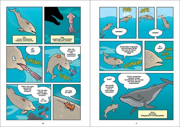 Produktbild: Superbrain-Comics - Die Geheimnisse der Wale