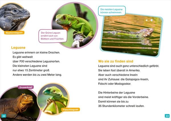 Produktbild: WAS IST WAS Erstes Lesen. Echsen