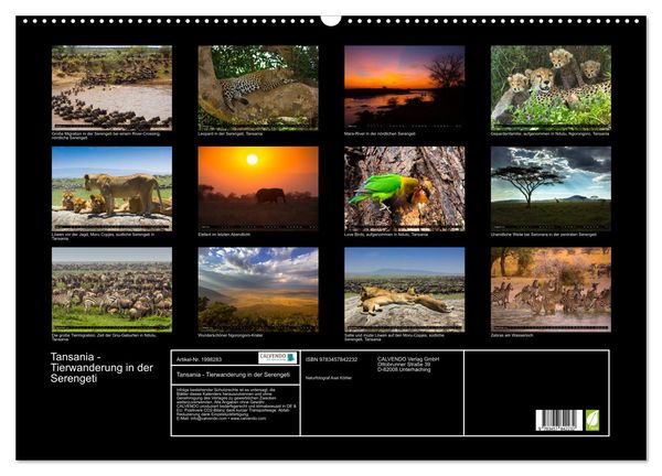 Produktbild: Tansania - Tierwanderung in der Serengeti (Wandkalender 2026 DIN A2 quer), CALVENDO Monatskalender