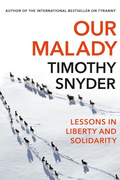 Produktbild: Our Malady