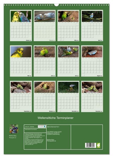 Produktbild: Wellensittiche Terminplaner (Wandkalender 2026 DIN A2 hoch), CALVENDO Monatskalender