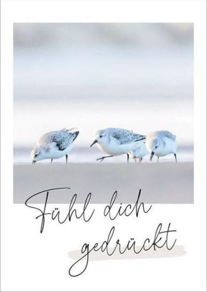 Produktbild: Unendlich geliebt - Postkartenset