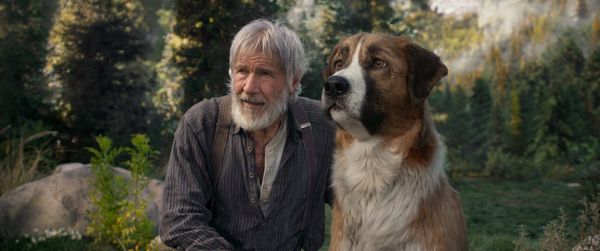 Produktbild: Ruf der Wildnis