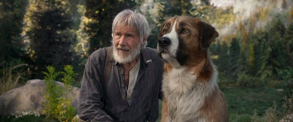 Produktbild: Ruf der Wildnis