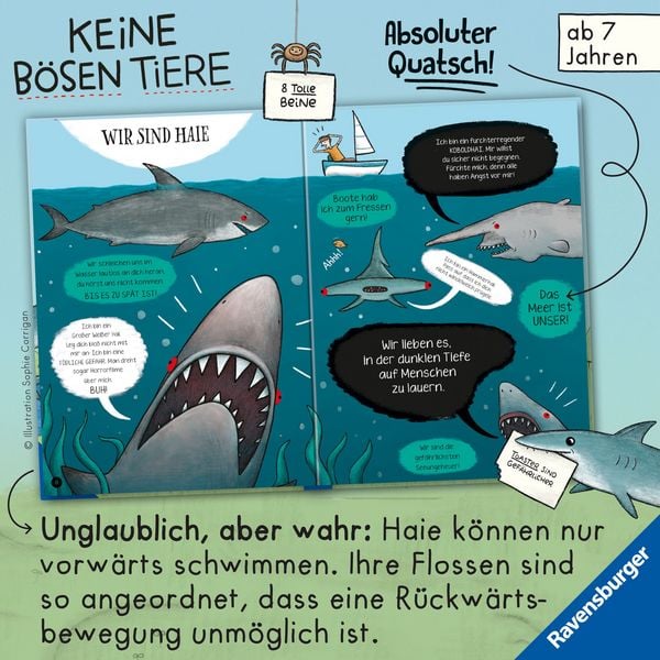 Produktbild: Keine b&ouml;sen Tiere