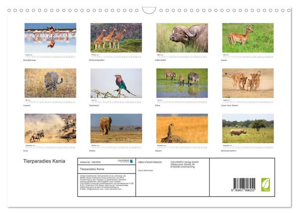 Produktbild: Tierparadies Kenia (Wandkalender 2026 DIN A3 quer), CALVENDO Monatskalender