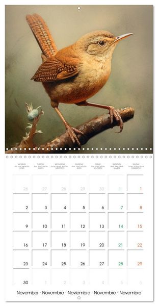 Produktbild: Ailes en sc&egrave;ne (Calendrier mural carr&eacute; 2026 30x30 cm) Calendrier double avec une page pour vos prises de notes