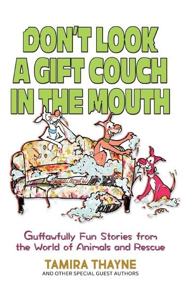 Produktbild: Don't Look a Gift Couch in the Mouth