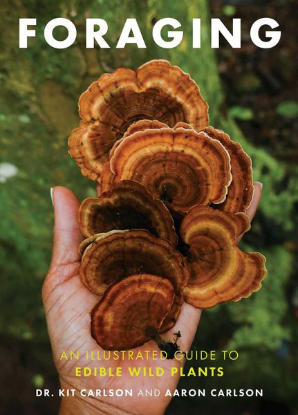 Produktbild: Foraging