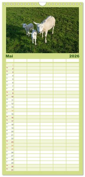 Produktbild: Familienplaner 2026 - Ameland Wundersch&ouml;ne Insel mit 5 Spalten (Wandkalender, 21 x 45 cm) CALVENDO