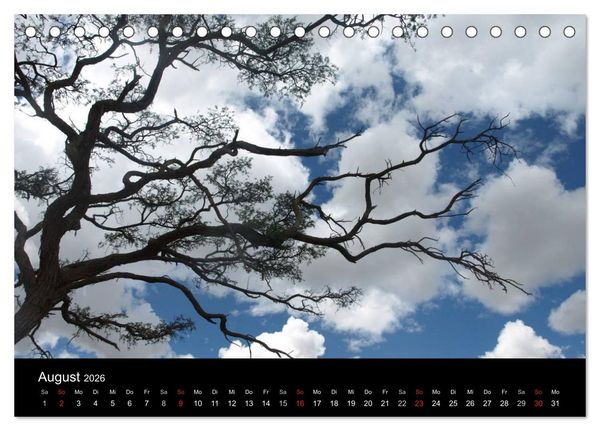 Produktbild: W&uuml;stenzauber Namibia (Tischkalender 2026 DIN A5 quer), CALVENDO Monatskalender